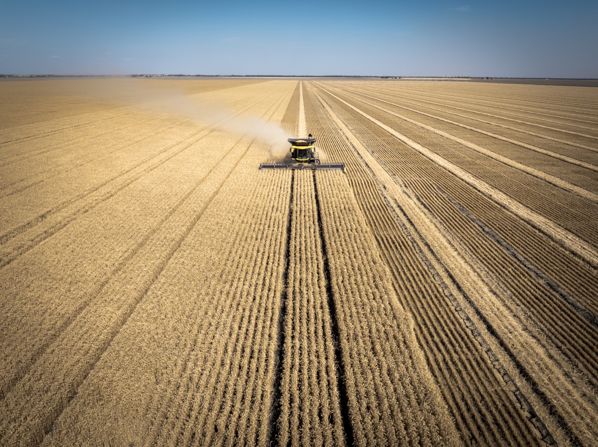 New Holland CR10 harvesting, shot from the air at Dalby