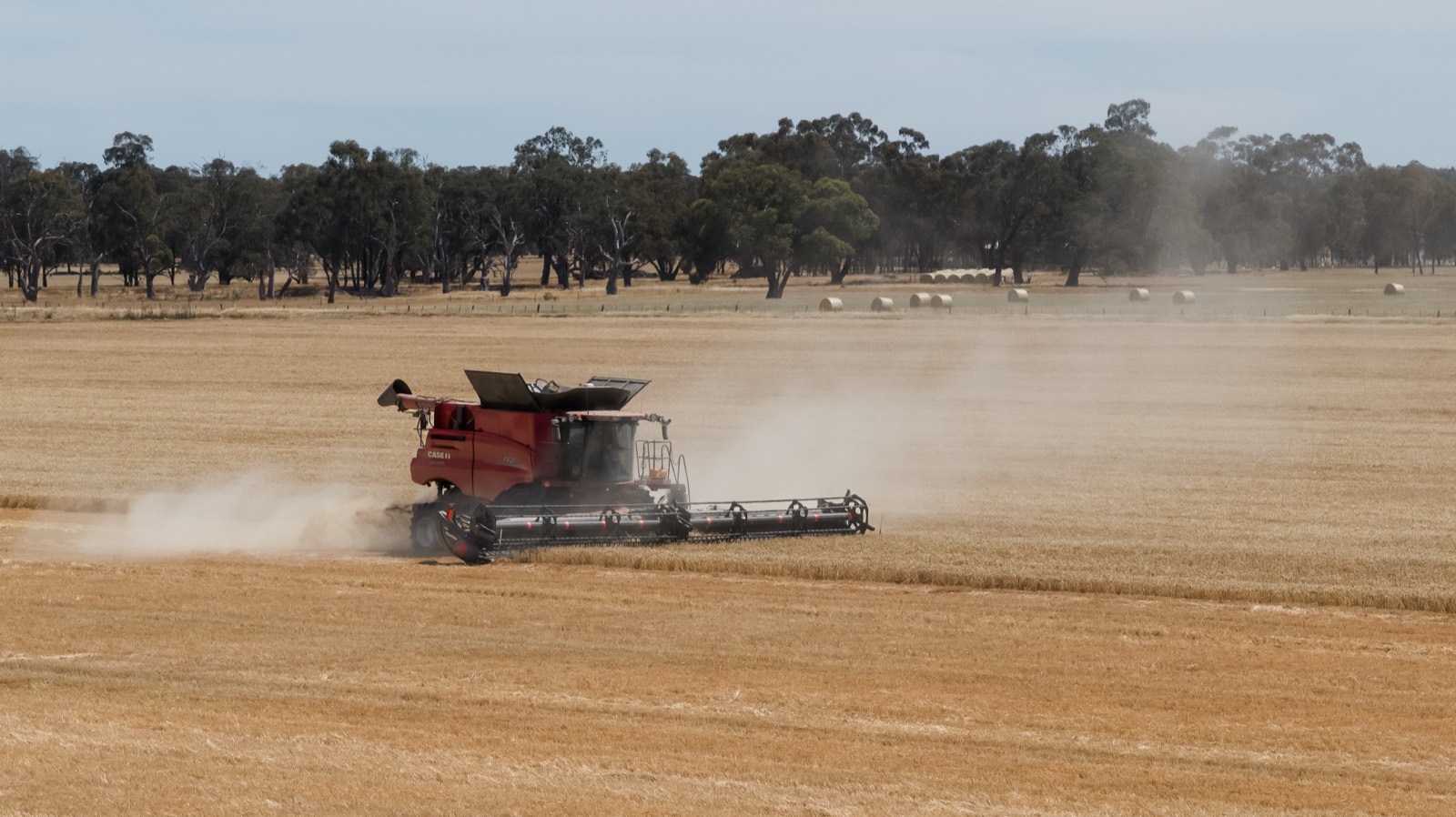 Case IH harvest at Swan Hill
