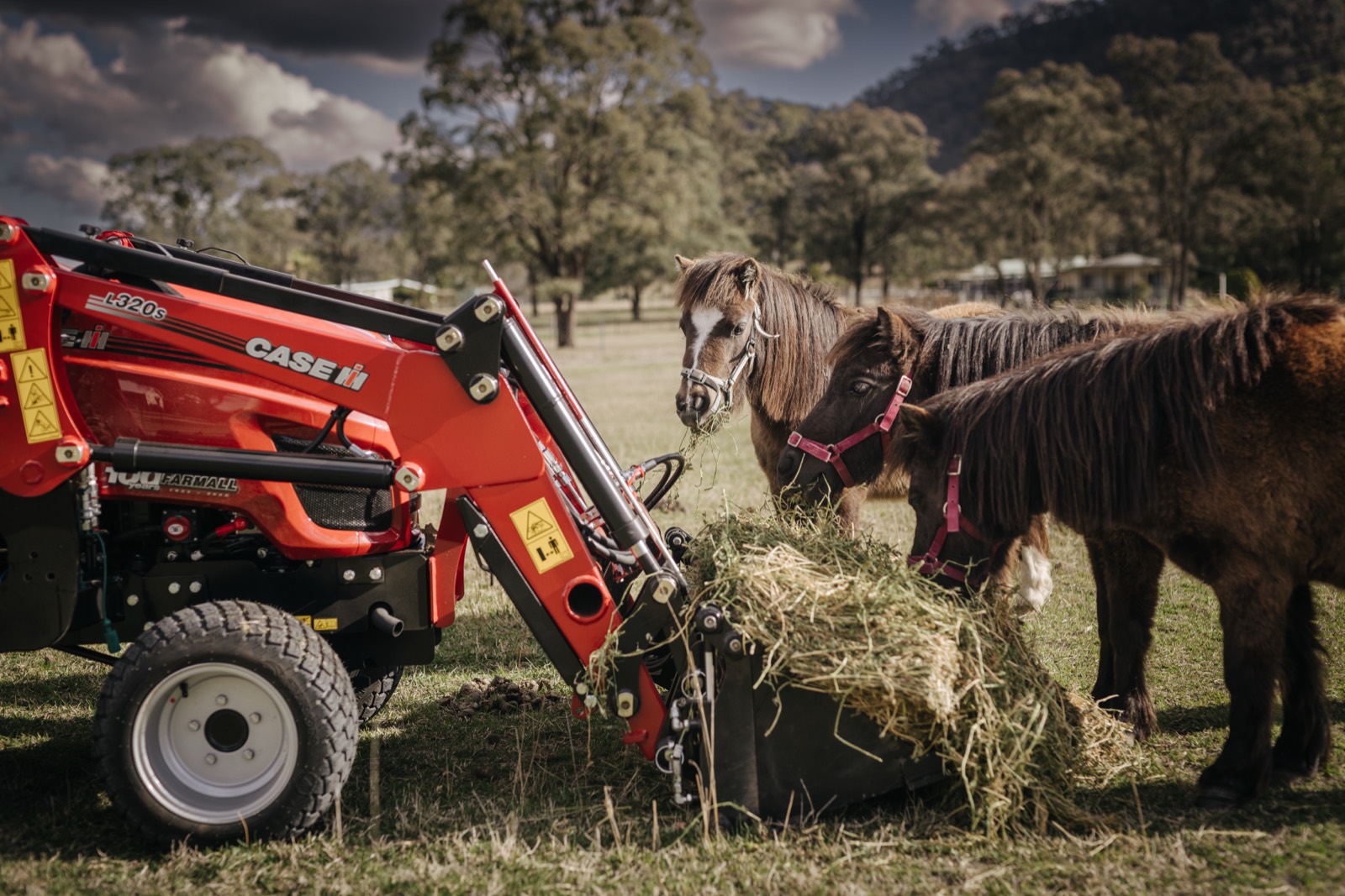 Case IH compact tractor working on farm