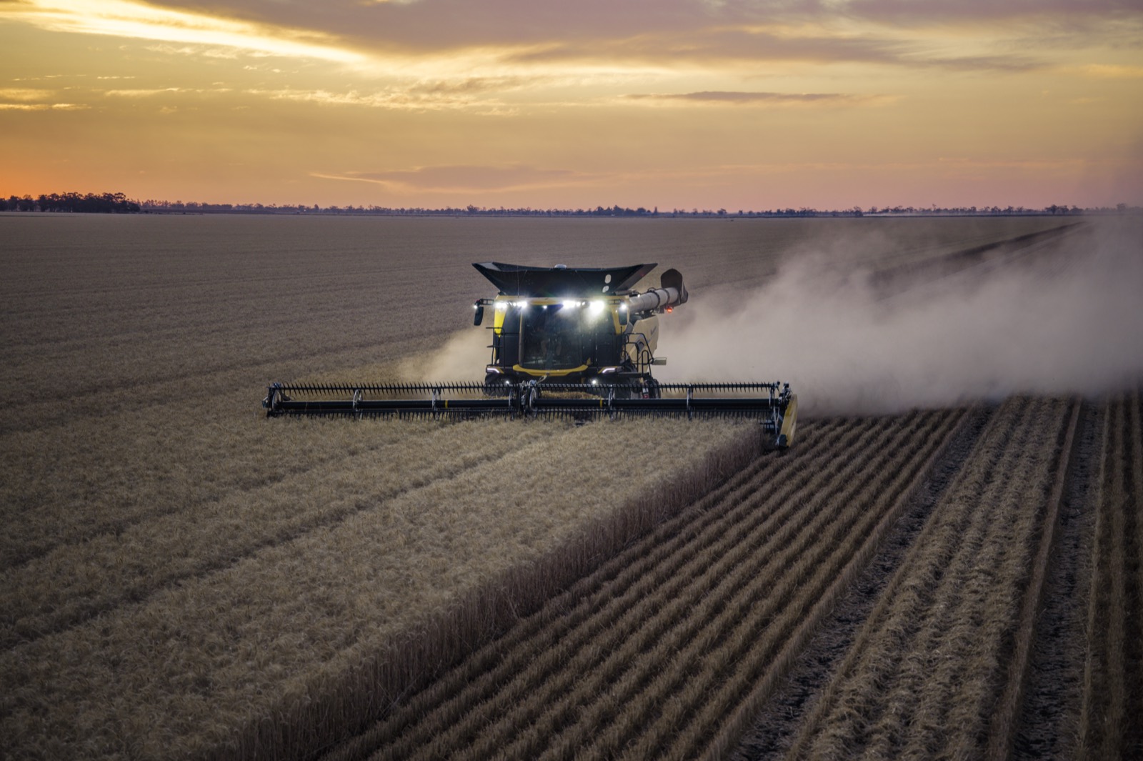 New Holland CR10 harvester at Dalby