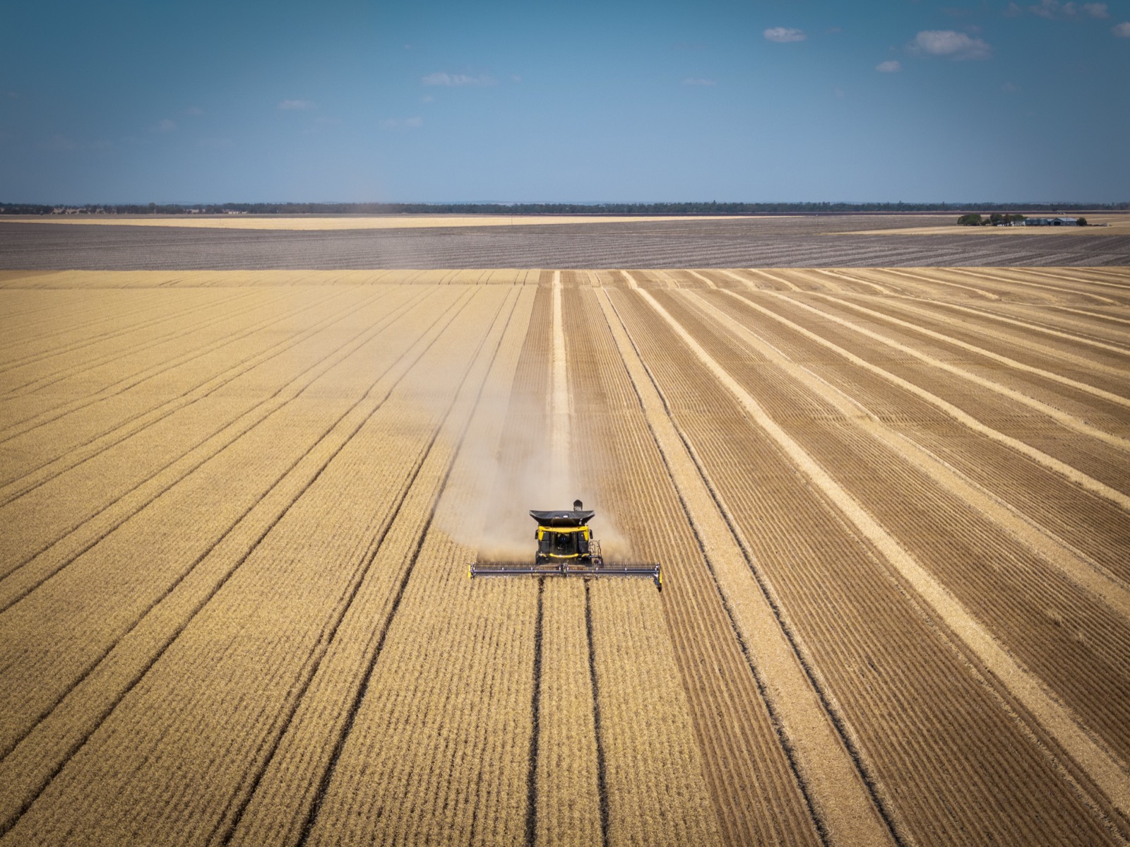 New Holland CR10 harvester at Dalby