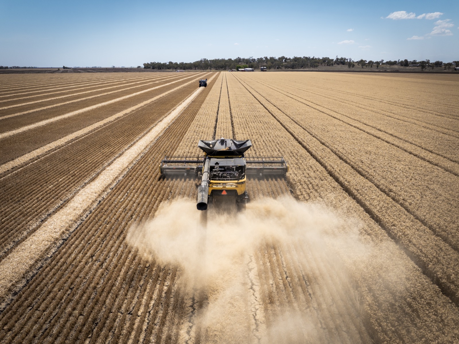New Holland CR10 harvester at Dalby