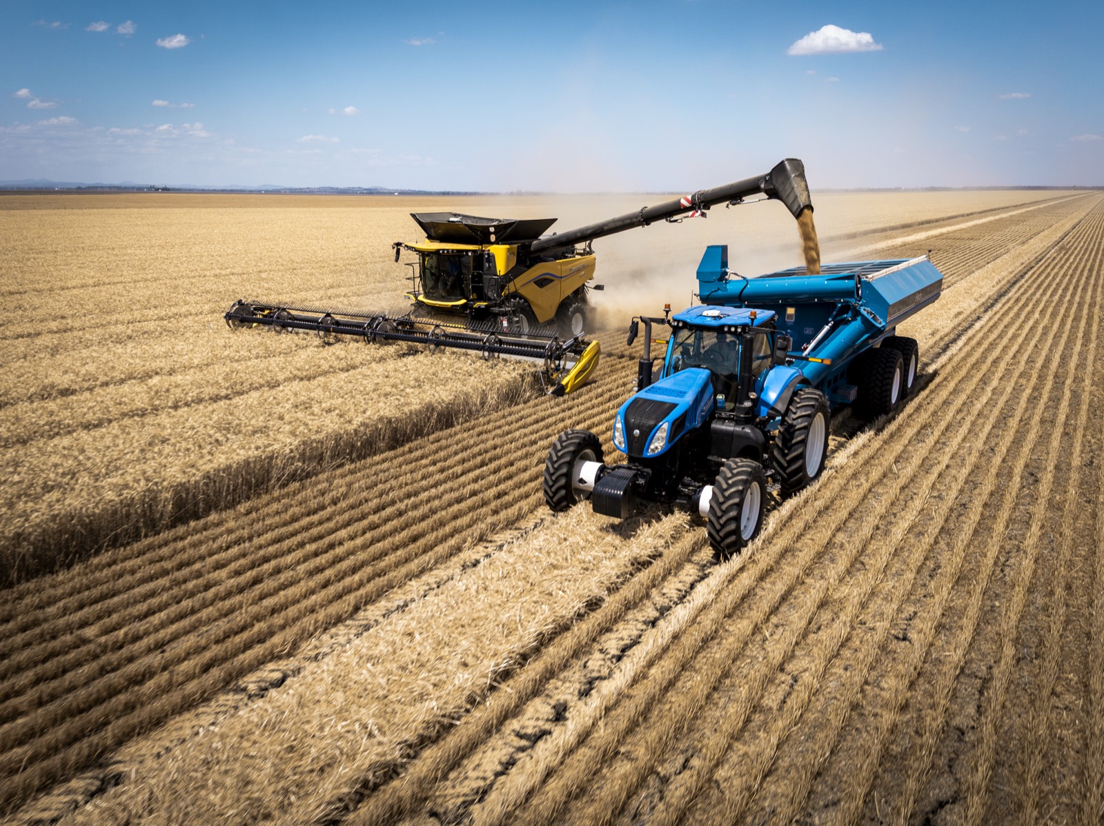 New Holland CR10 harvester at Dalby