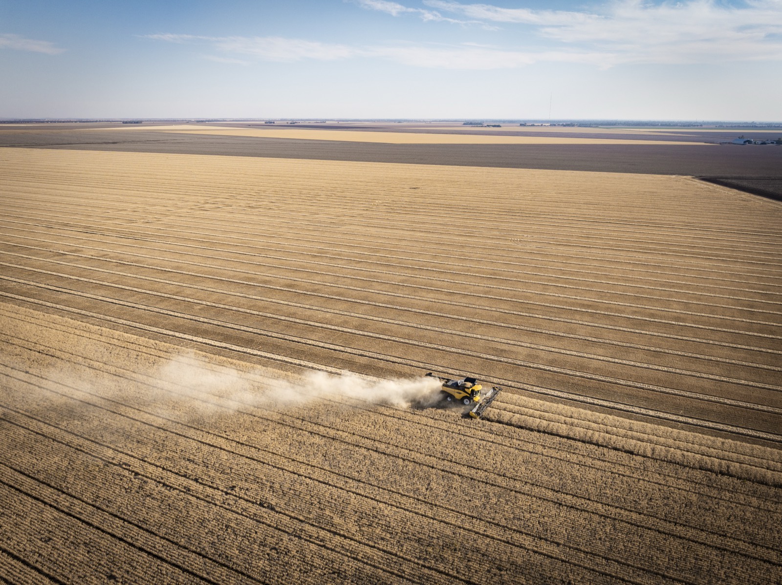 New Holland CR10 harvester at Dalby